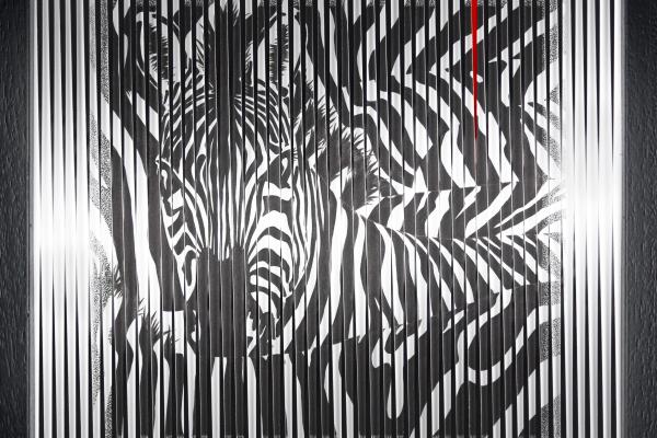 ZEBRA NERA